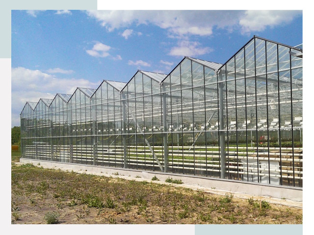 Строительство теплиц в Снежинск от 624 руб. за м²